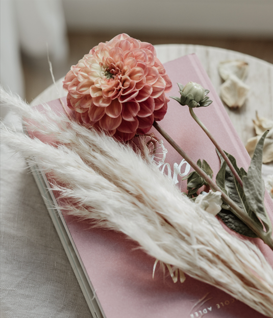 Les Instants By M à collectionner