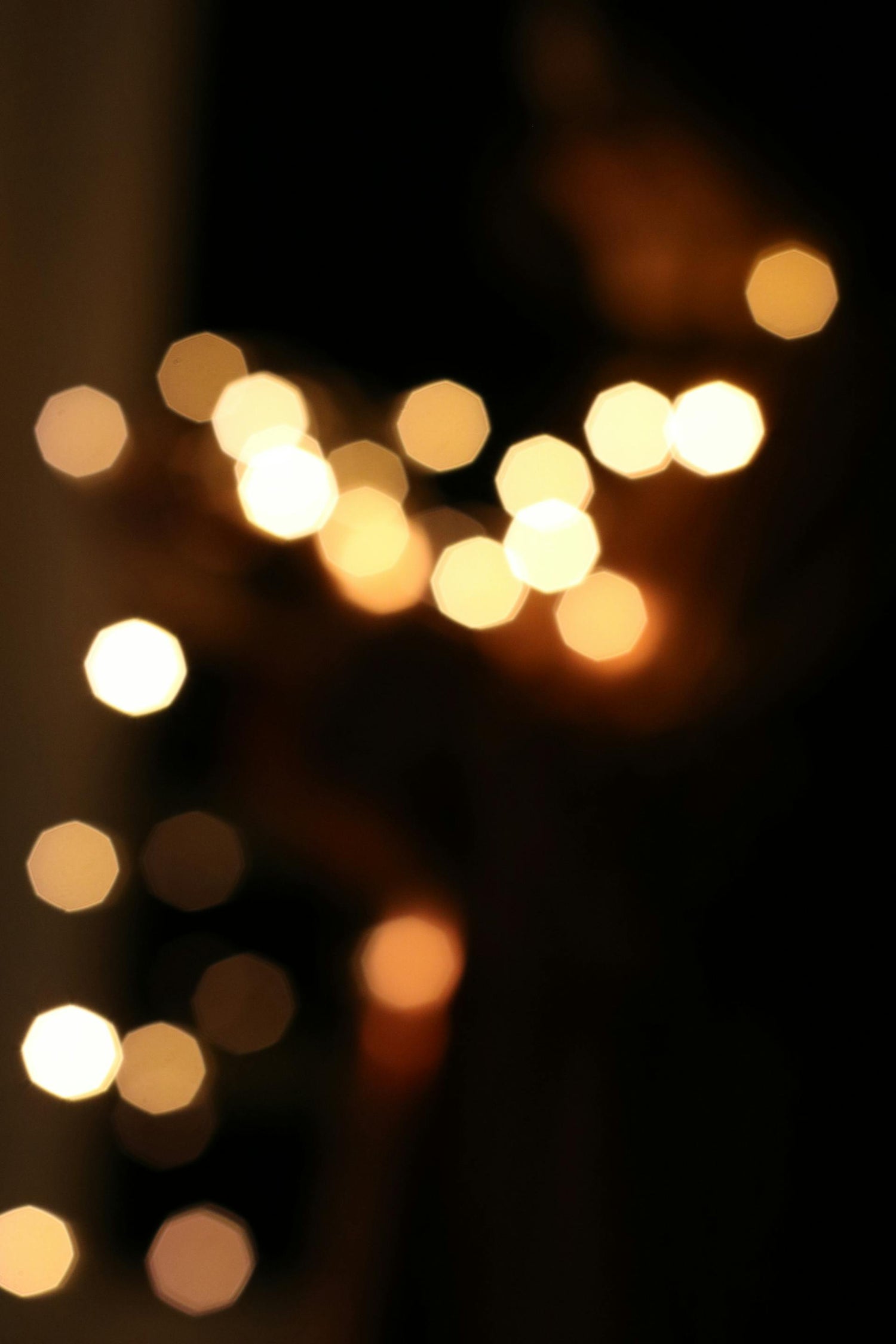 Edition Lumières de fêtes