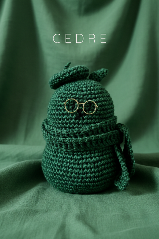 Leaf cèdre