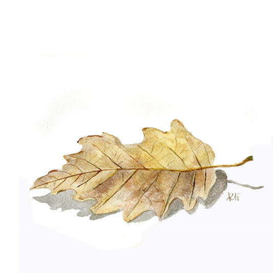 Septembre “Souffle d’automne”